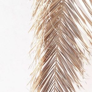 Meet your Posher, Aly